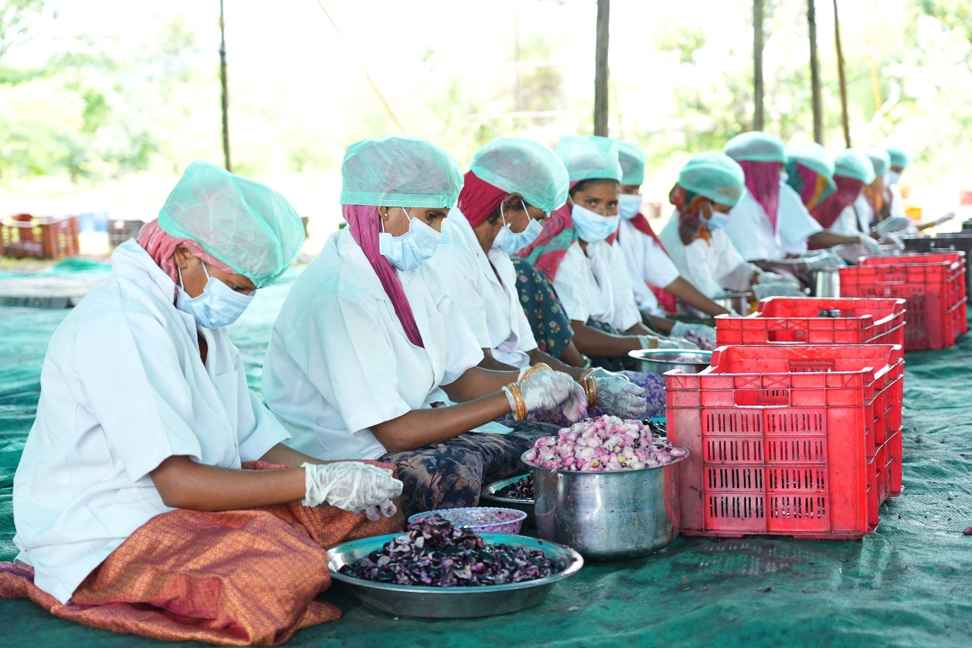 Ghummar Mahila Producer Company Ltd